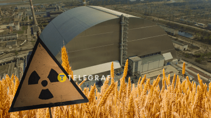 Навколо Чорнобиля — тисячі гектарів полів