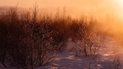 Какой праздник 2 декабря: народные приметы и запреты