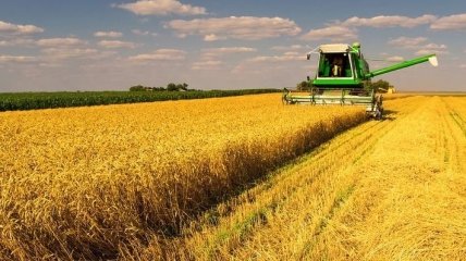 Украина вошла в тройку экспортеров сельхозпродукции в Евросоюз