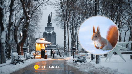 Сніг в Україні