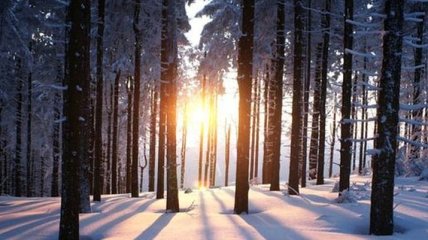 День зимнего солнцестояния: традиции и приметы