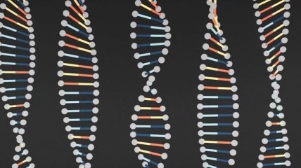 Изобретен метод визуализации генетической мутации