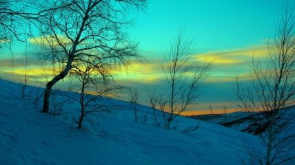 Прогноз погоды в Украине на 1 декабря: снежно