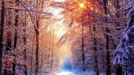 Погода в Украине на 4 января: день морозный, солнечный и без осадков