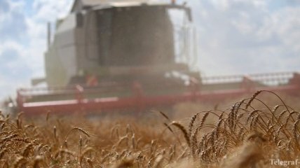 Сельхозпредприятиям собираются сократить бюджетные дотации
