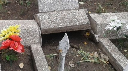 В Кропивницком подростки совершили преступление на кладбище