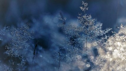 Зима близко: Укргидрометцентр предупреждает о сильных заморозках