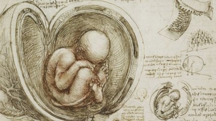 Малоизвестные рисунки Леонардо да Винчи, которые вы точно не видели (Фото) 