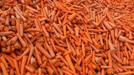Морковка вместо солярия