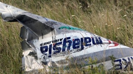 Трагедия MH17: ФРГ надеется на более "конструктивное" участие РФ в расследовании