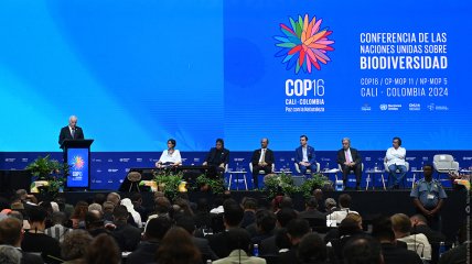 У ході 16-ї Конференції Сторін Конвенції ООН про біологічне розмаїття Вірменію було обрано країною, яка приймає COP17