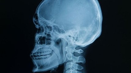 Занимательная анатомия: невероятные факты о человеческом теле (Фото)