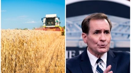 В США ищут варианты возобновить вывоз зерна из Украины