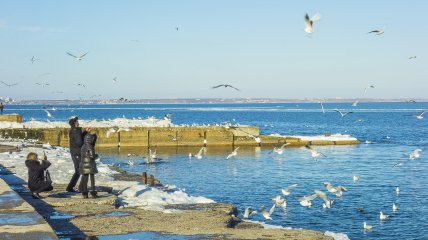 Погода в Одессе