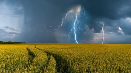 Жара и грозы: в понедельник в Украине местами палящий зной разбавится дождями