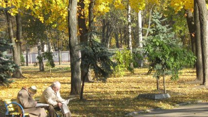 Люди сидять в парку