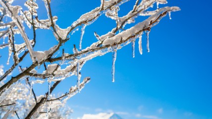 13 марта слышен звук от капель, падающих на землю из сосулек