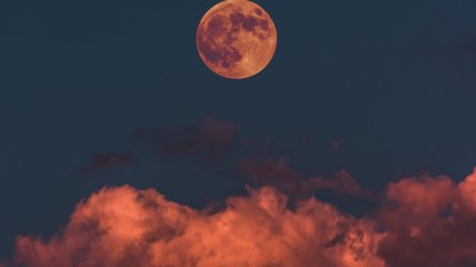 В первой декаде ноября произойдет полное затмение Луны