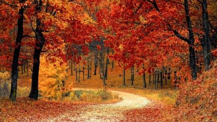 Золотая осень: самые пейзажные места матушки Земли (Фото) 