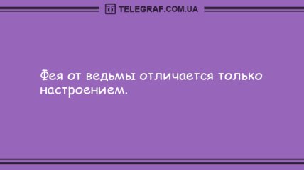 Встречаем зиму с позитивом: лучшие анекдоты на утро