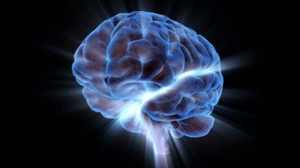 Ученые назвали, витамин для памяти и улучшения работы мозга