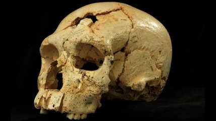 В Испании обнаружены следы убийства возрастом 430 тыс лет