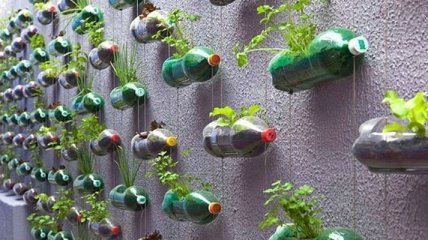 Готовимся к весне: как использовать старые пластиковые бутылки и посуду (Фото)