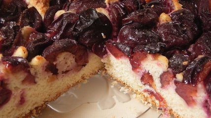 Рецепт сливового пирога от Юлии Высоцкой