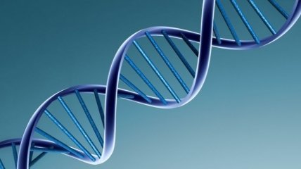 Ученые смогли изменить генетический код 