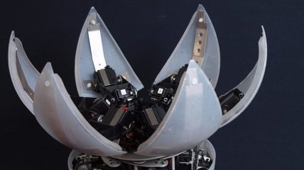 Создан катающийся робот-трансформер