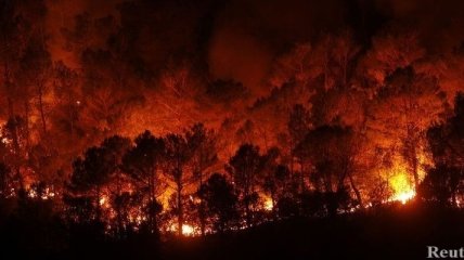 Испания потерпает от лесных пожаров