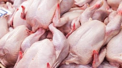 Птичий грипп не проблема: Украина и ЕС не намерены останавливать взаимные поставки птицы