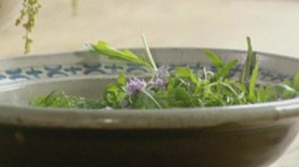 Брускета из трав