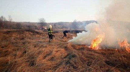 ДСНС досі гасять кілька осередків пожежі у Чорнобильській зоні