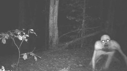 Жуткие кадры с охотничьих камер ночного видения (Фото)