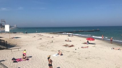 Пляжи Одессы стали непригодными для посещения