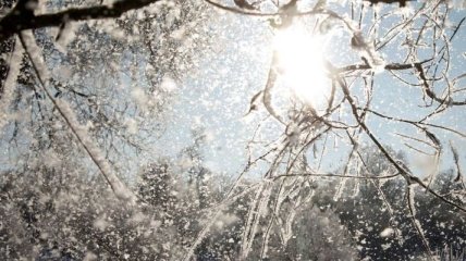 Прогноз погоды на 31 января: в Украине похолодает, местами снег 