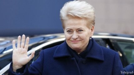 Президент Литвы поддерживает Украину в защите ценностей Майдана