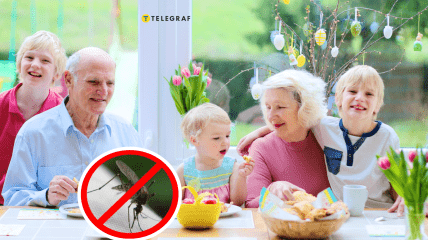 Не позволяйте насекомым портить ваш отдых