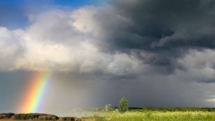 Дощі будуть, але місцями проб'ється сонечко: синоптики озвучили прогноз погоди в Україні до кінця тижня