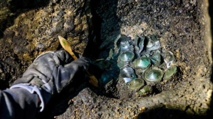 Артефакты бронзового века найдены в Венгрии
