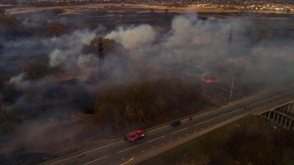 Через масштабні пожежі українці подали петицію президенту Зеленському