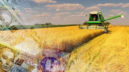 Украинские аграрии просят Гройсмана разблокировать СЭА НДС