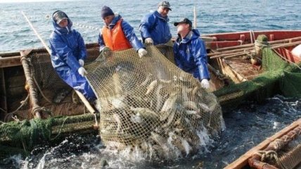 Украина на четверть сократила вылов рыбы