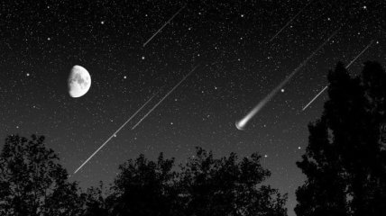 Звездопад Лириды: когда метеорный поток достигнет своего пика  