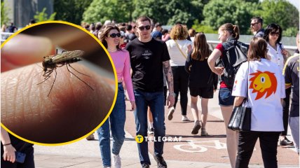 Что делает человека легкой добычей для насекомых