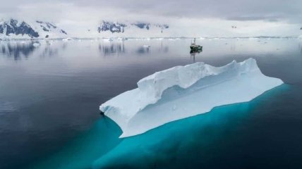 Биологи первые в истории показали существ морского дна Антарктиды