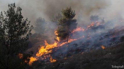 Пожары в Европе: Греция обратилась за помощью к ЕС