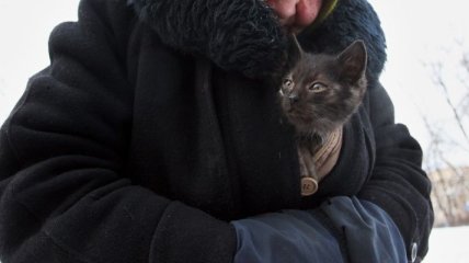 В Минске живьем замуровывают котов в подвалах