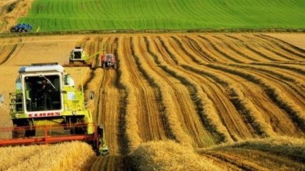 Україна зберегла 4-ту позицію найбільшого агроекспортера до ЄС